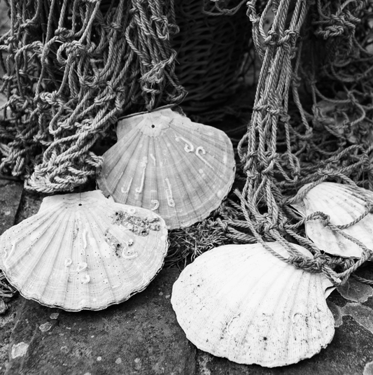 The Regeneration System - maiswim